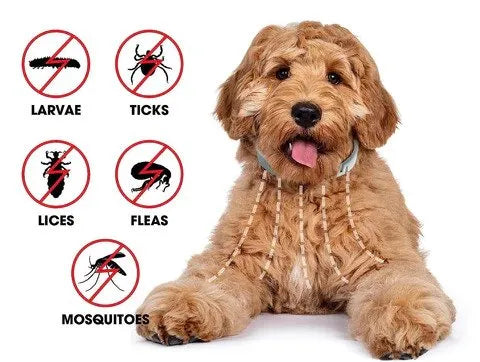Seresto Flea and Tick Collar For Small, Large Dogs & Cats 8 Months Protection